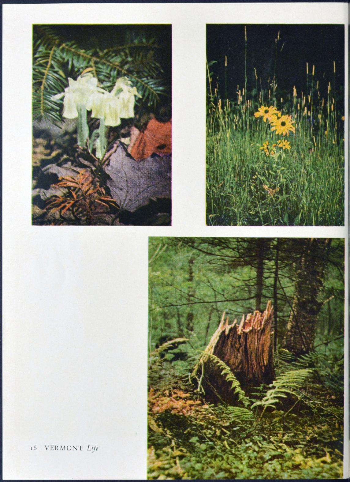 2019 08 book 3.jpg
