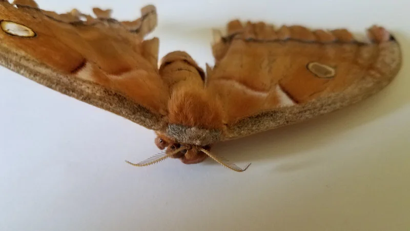 20190831_100058.jpg