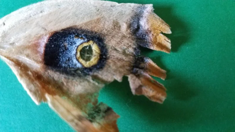 20190831_101206.jpg