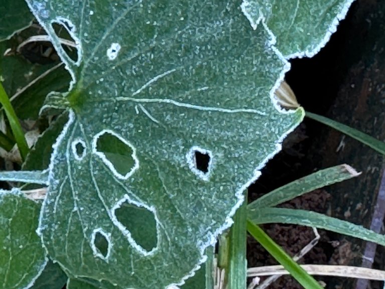 IMG_1491 2024 10.jpeg