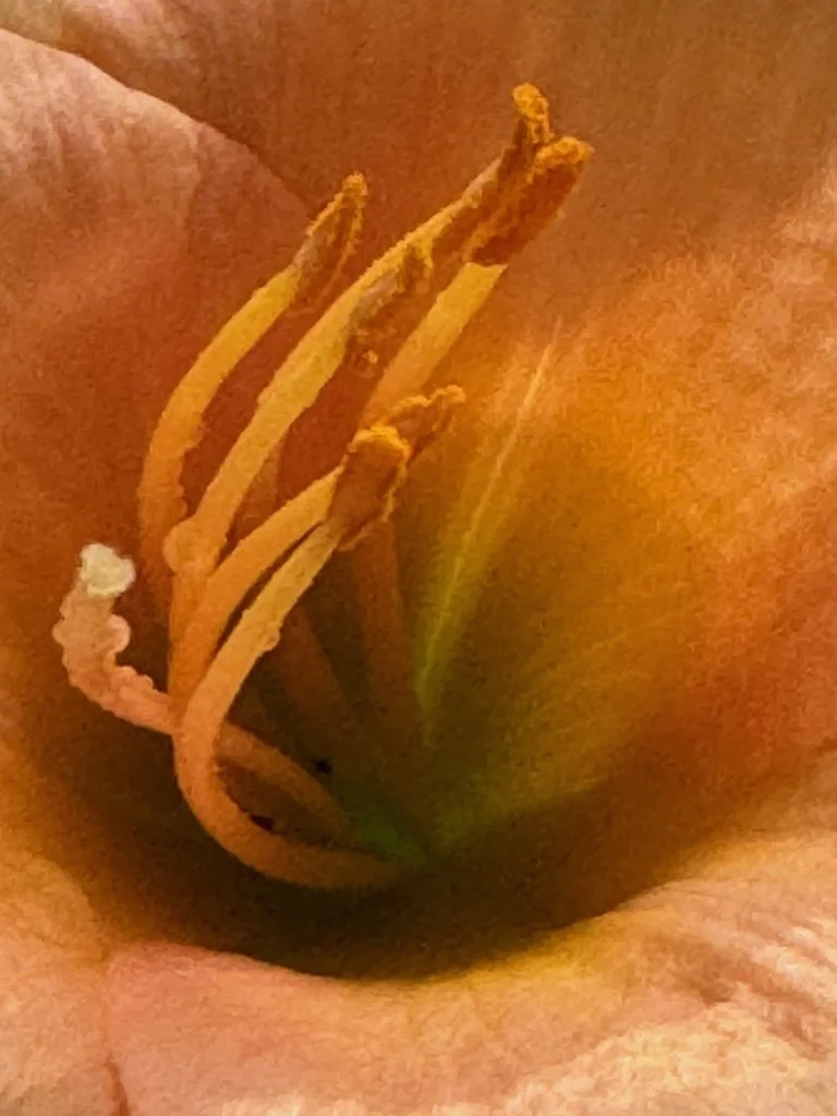 IMG_6833 2025 07.jpeg