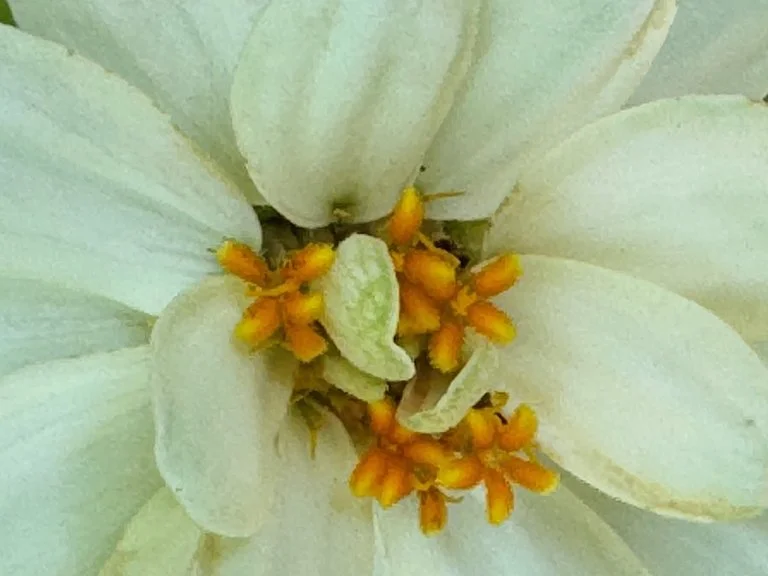 IMG_8240 2025 08.jpeg