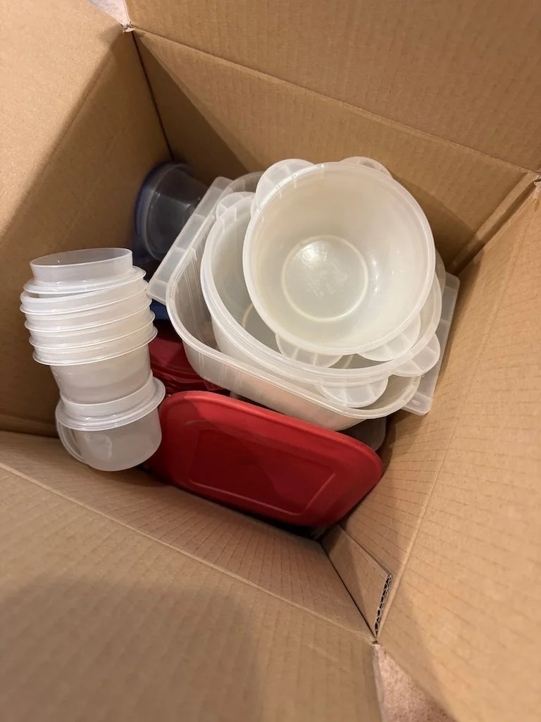 IMG_0233 2025 10.jpeg