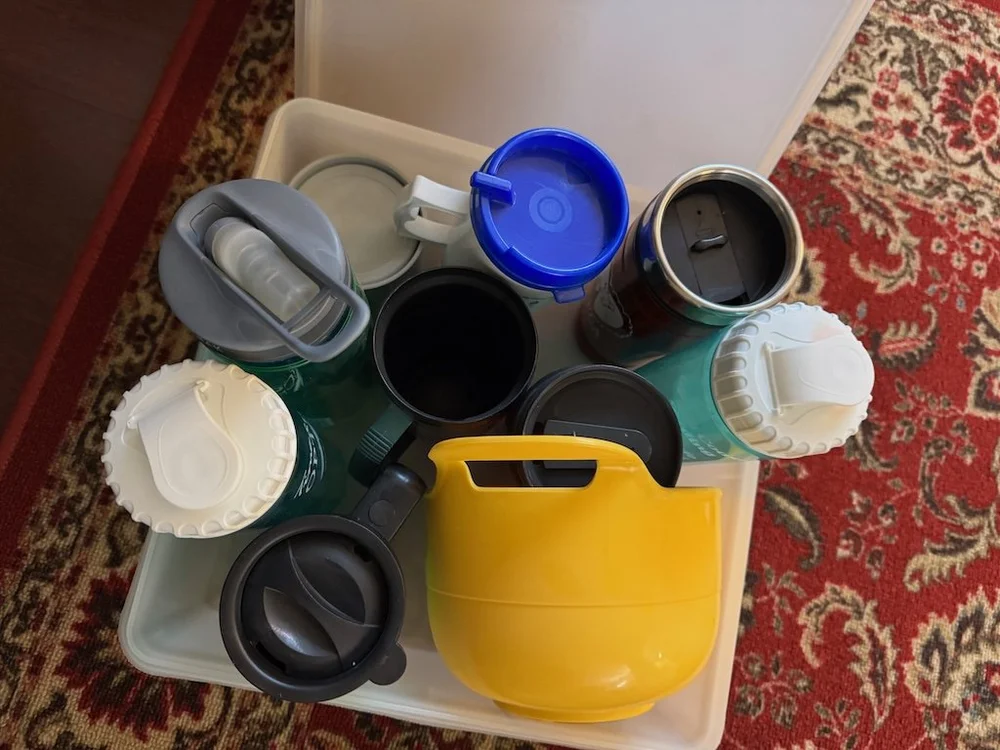 IMG_0236 2025 10.jpeg