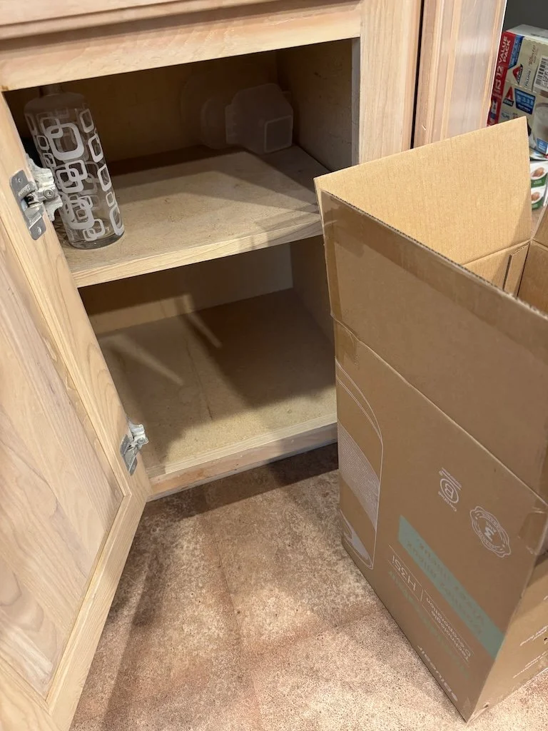 IMG_0234 2025 10.jpeg