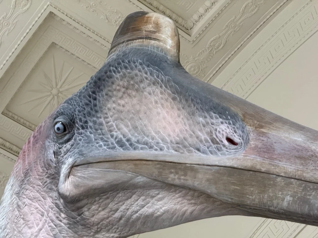 IMG_8739 2025 09.jpeg