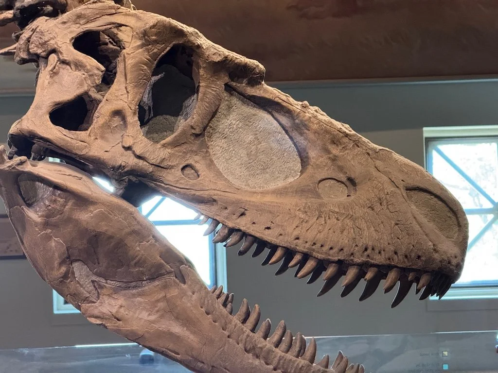 IMG_8757 2025 09b.jpeg