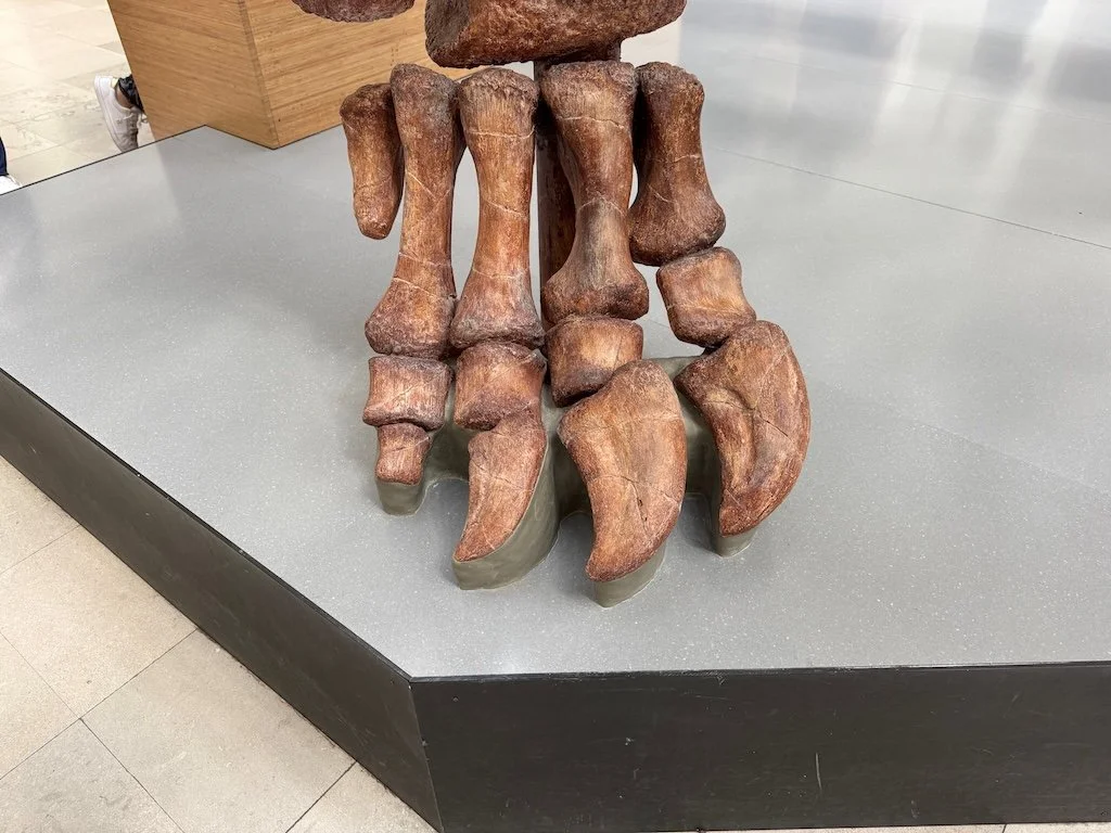 IMG_8774 2025 09b.jpeg