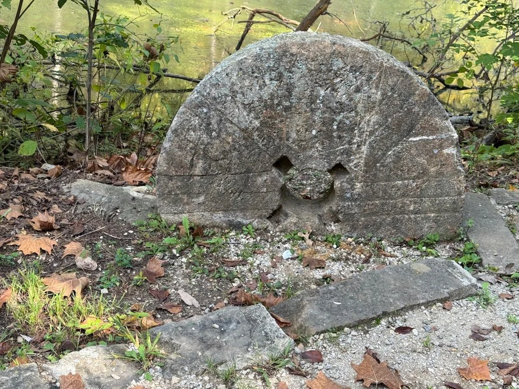 IMG_9359 2025 09.jpeg