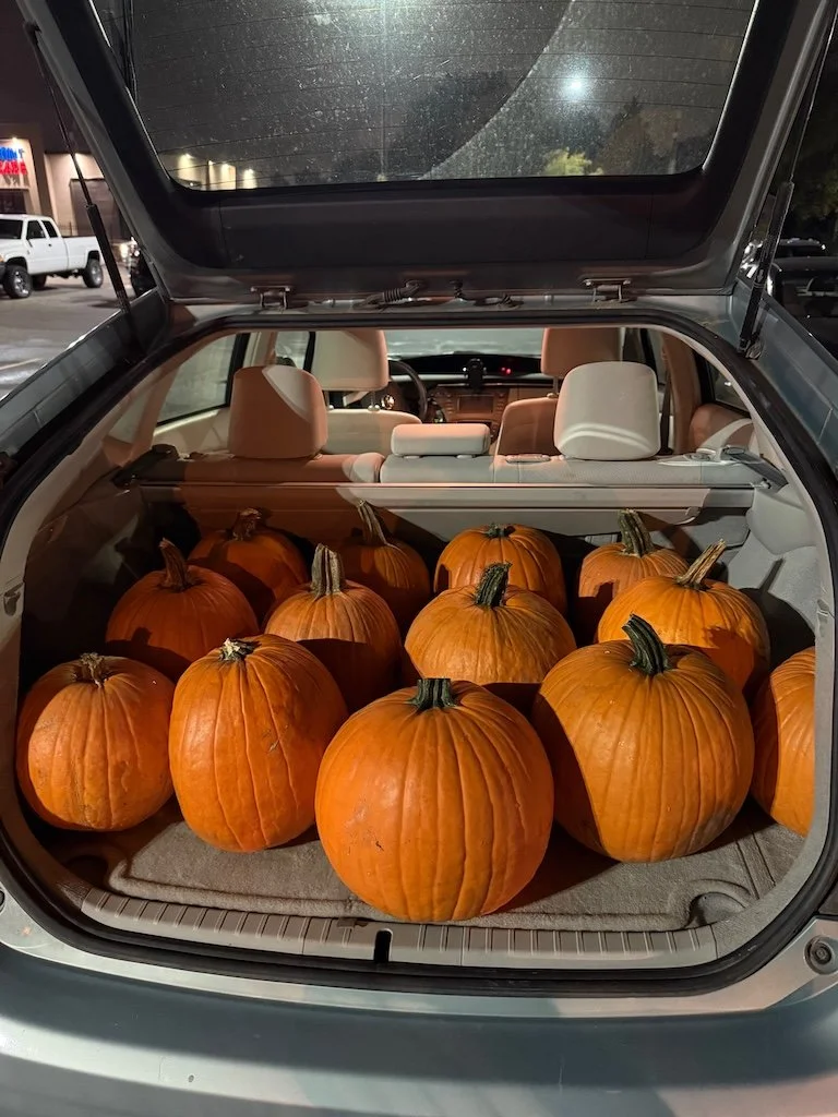 IMG_8425 2025 10.jpeg