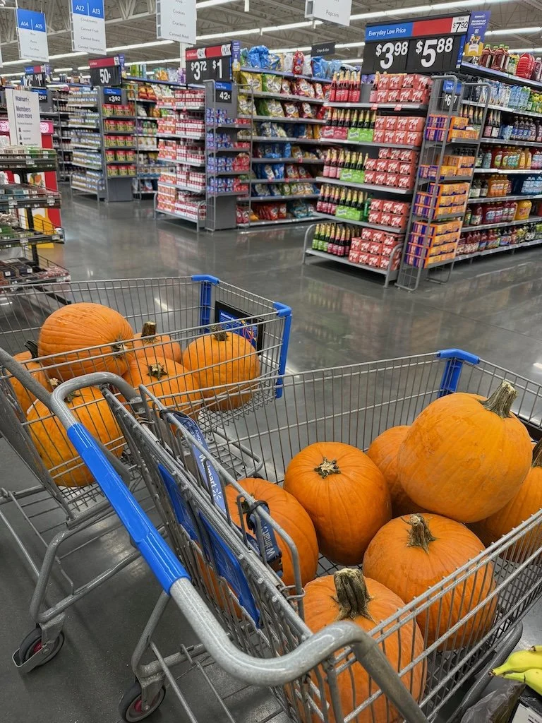 IMG_8423 2025 10.jpeg