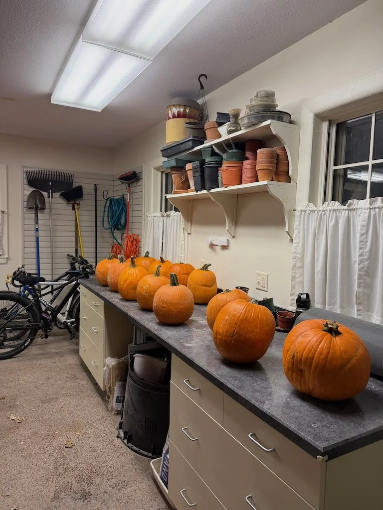 IMG_8426 2025 10.jpeg