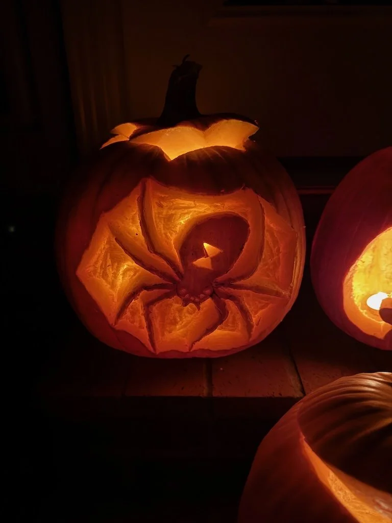 IMG_3020 2025 11.jpeg