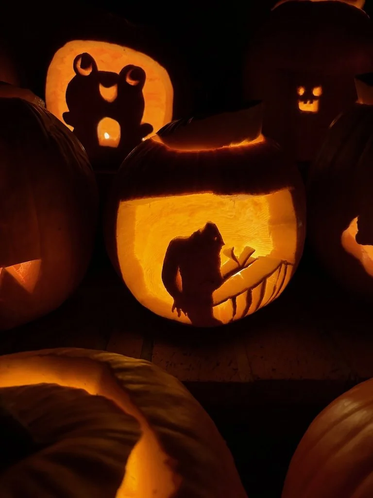 IMG_3021 2025 11.jpeg