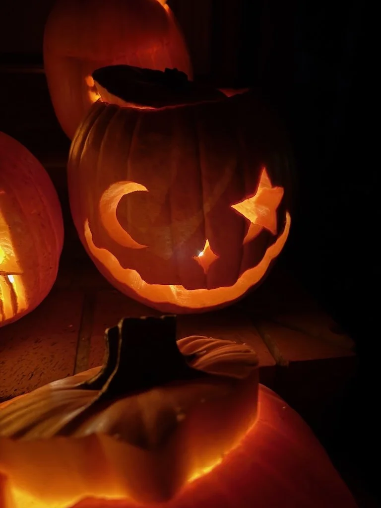 IMG_3023 2025 11.jpeg