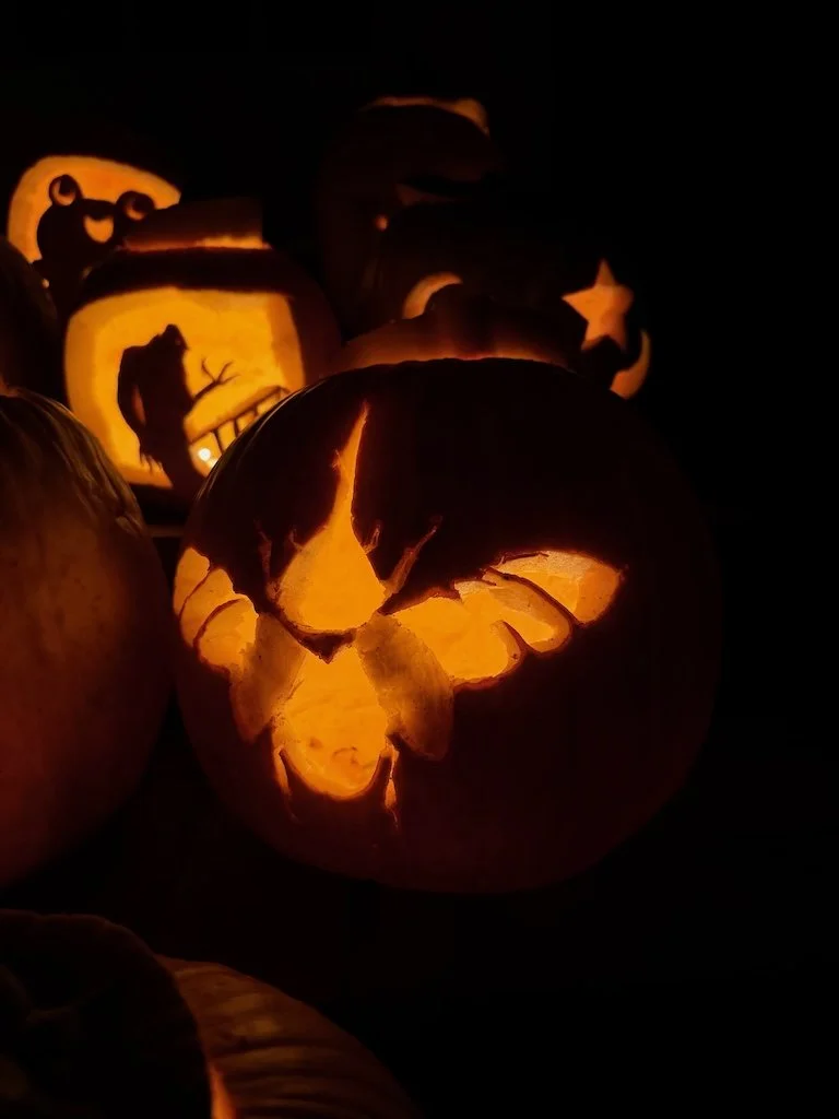 IMG_3024 2025 11.jpeg