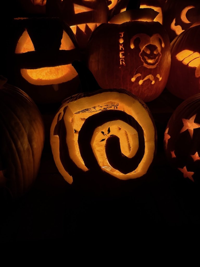 IMG_3025 2025 11.jpeg