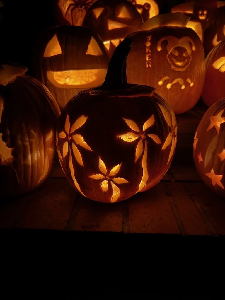 IMG_3026 2025 11.jpeg