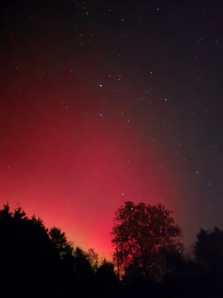 IMG_8485 2025 11.jpeg