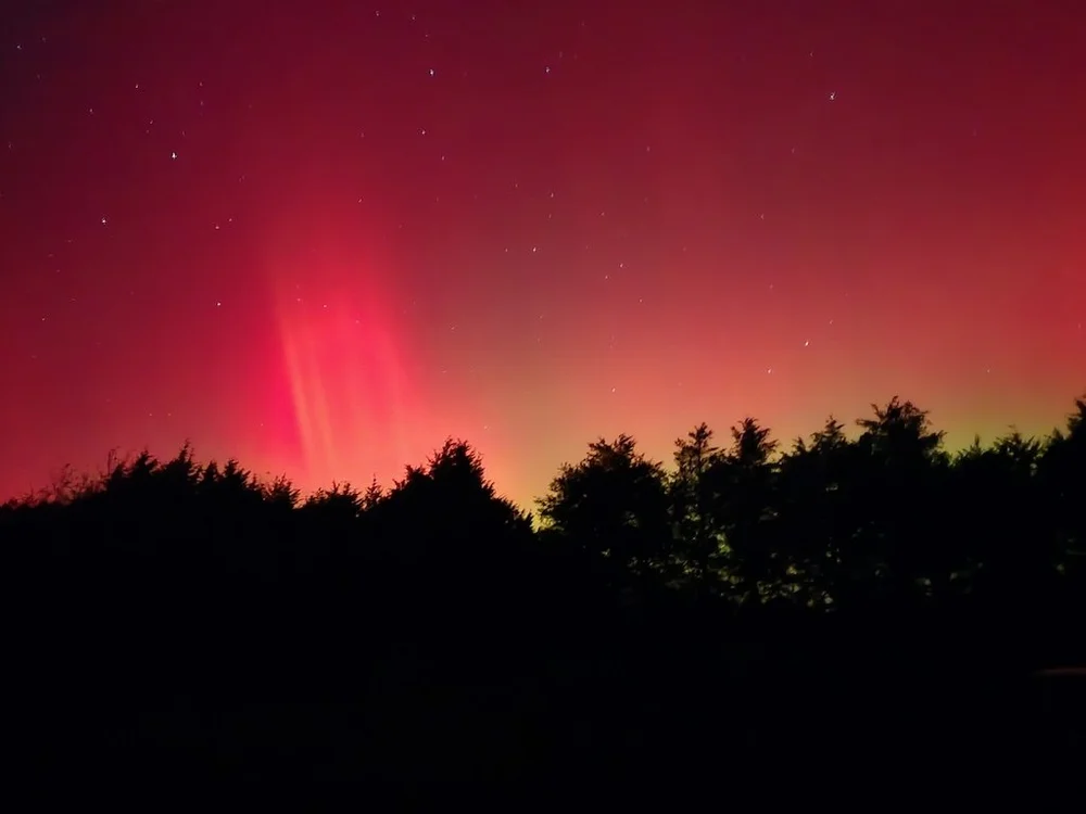 IMG_8487 2025 11.jpeg