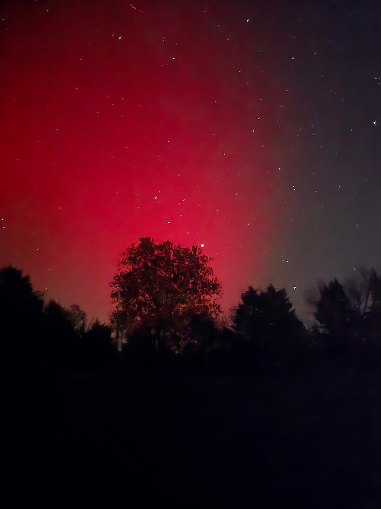 IMG_8488 2025 11.jpeg