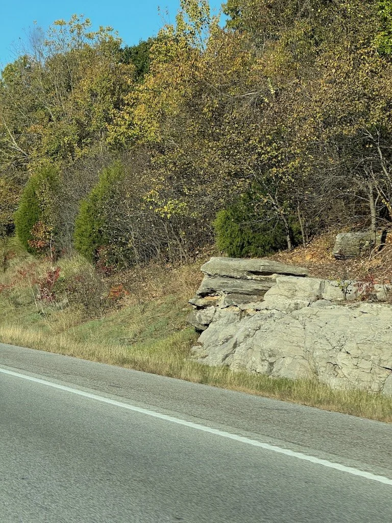 IMG_0276 2025 11.jpeg