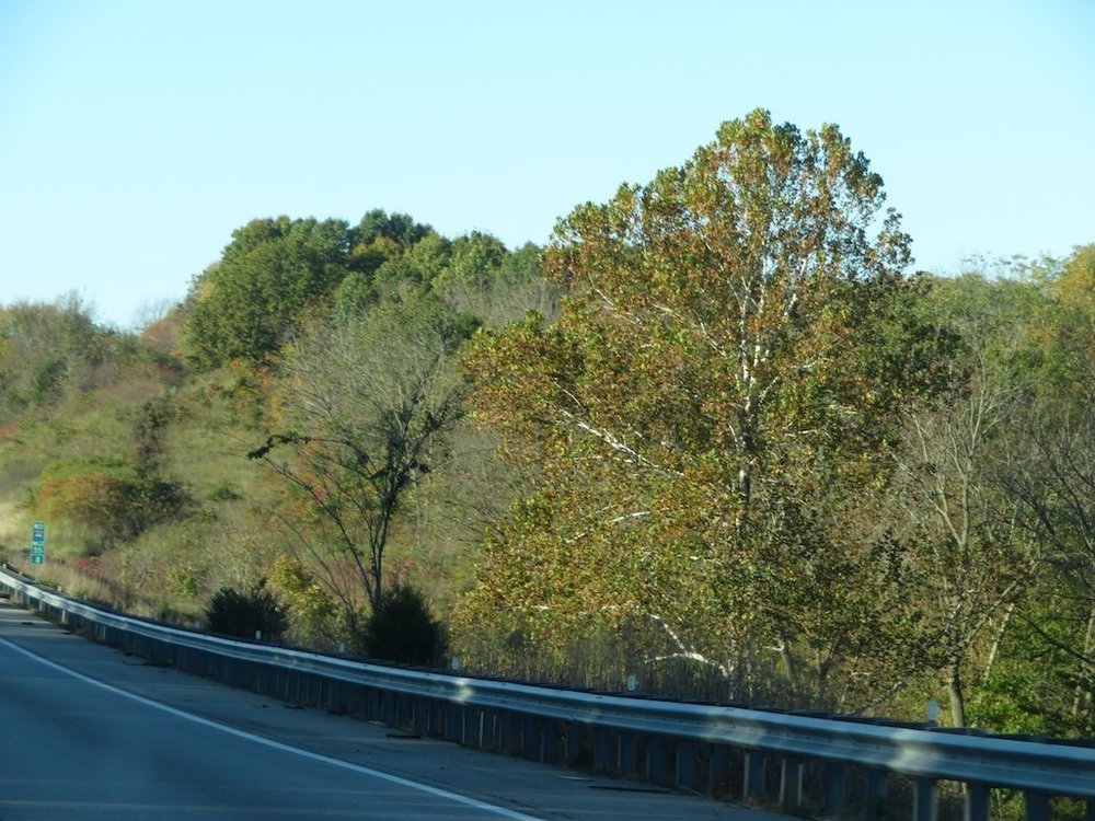 IMG_8752 2025 11.jPG