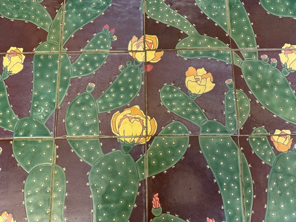 IMG_0543 2025 11.jpeg