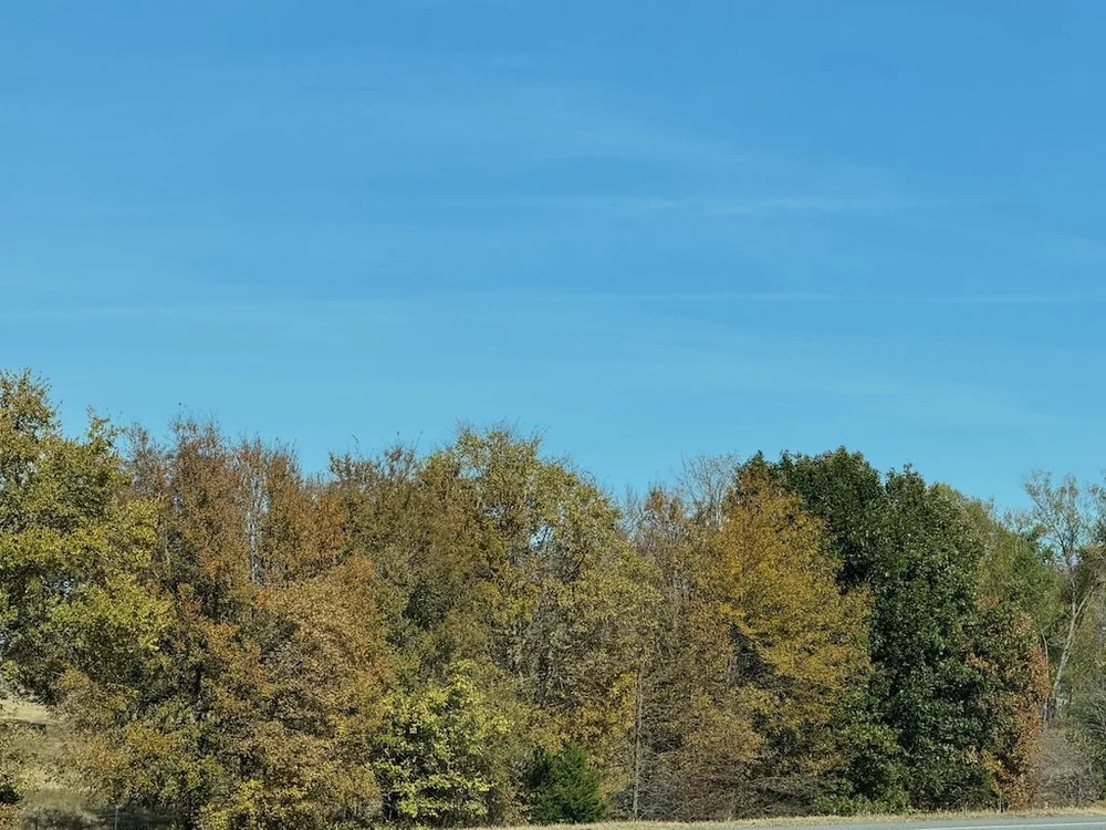 IMG_0609 2025 11.jpeg