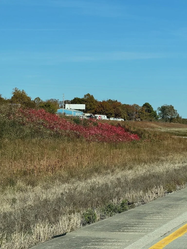 IMG_0612 2025 11.jpeg