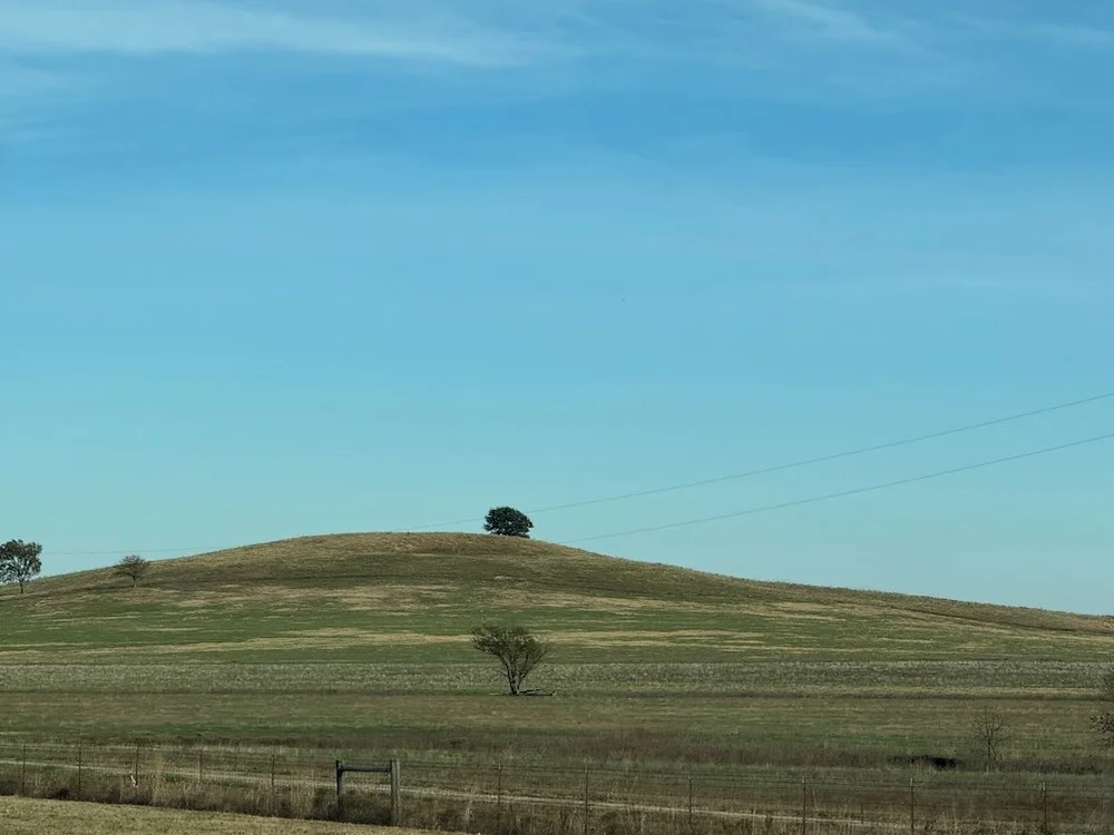 IMG_0646 2025 11.jpeg