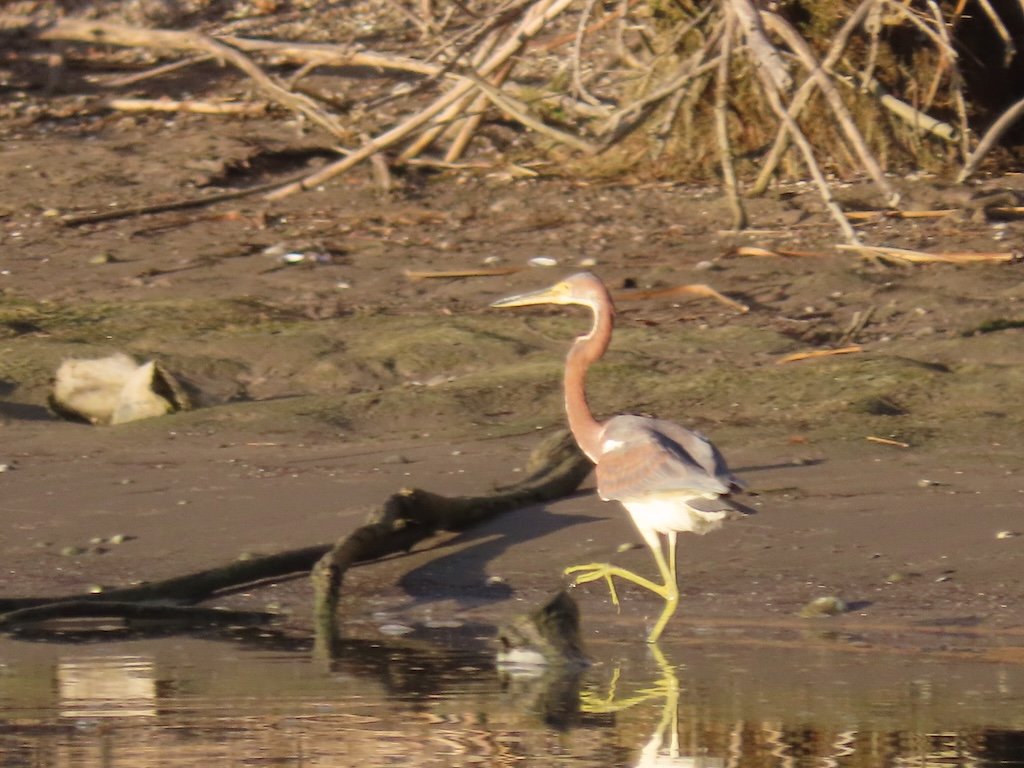 IMG_3037 2025 11.jPG