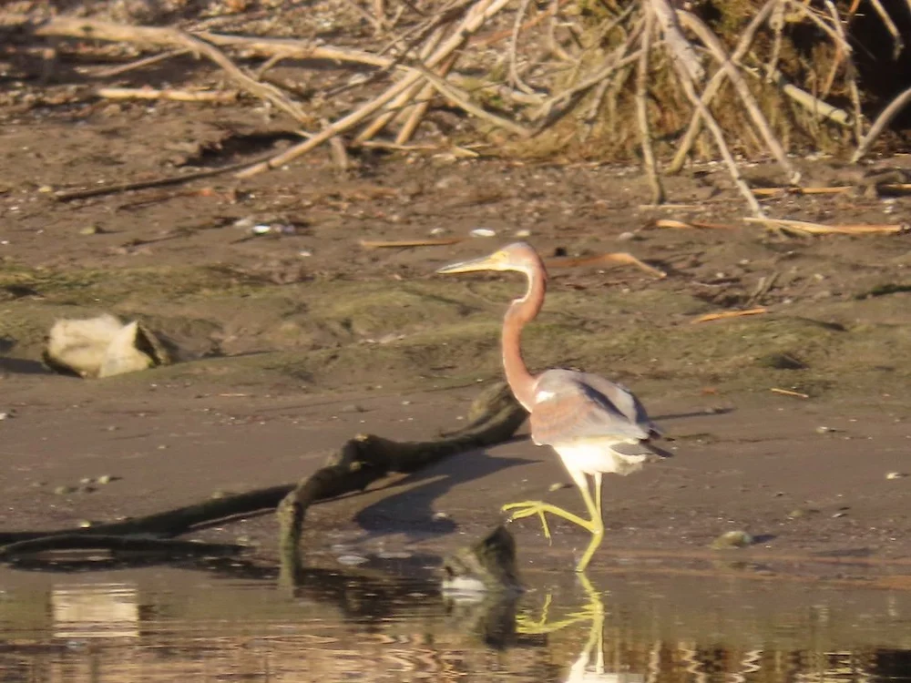 IMG_3037 2025 11.jPG