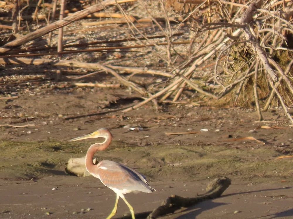 IMG_3039 2025 11.jPG