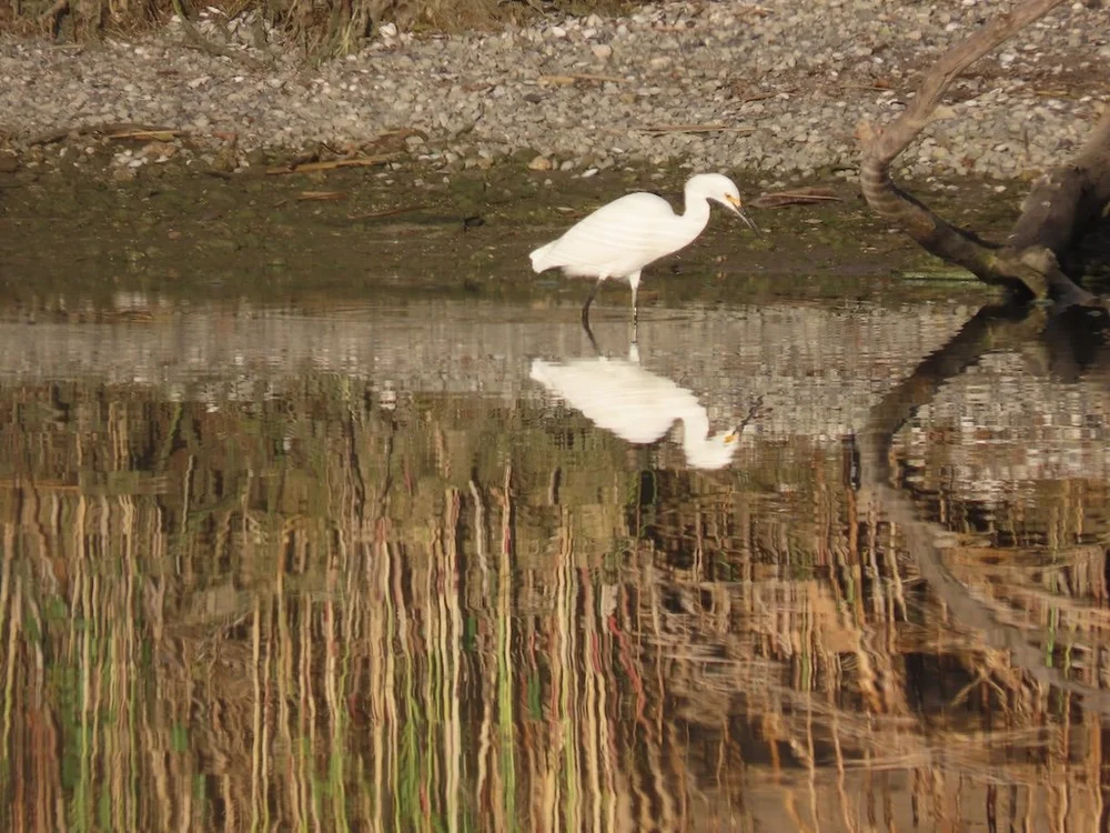 IMG_3087 2025 11.jPG