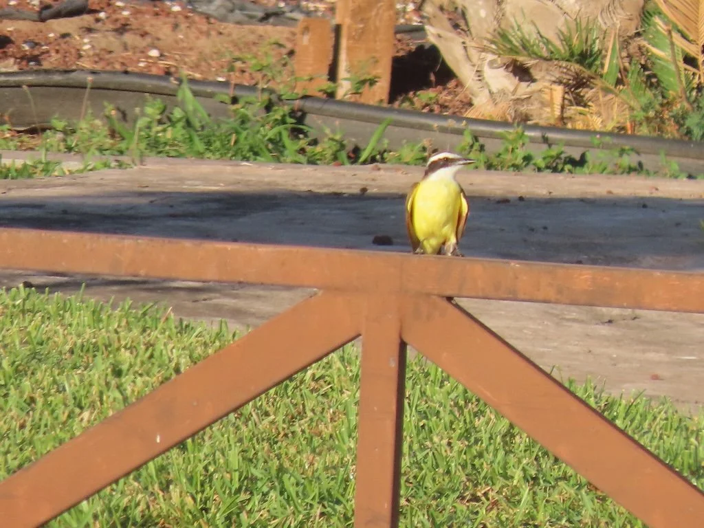 IMG_3112 2025 11.jPG