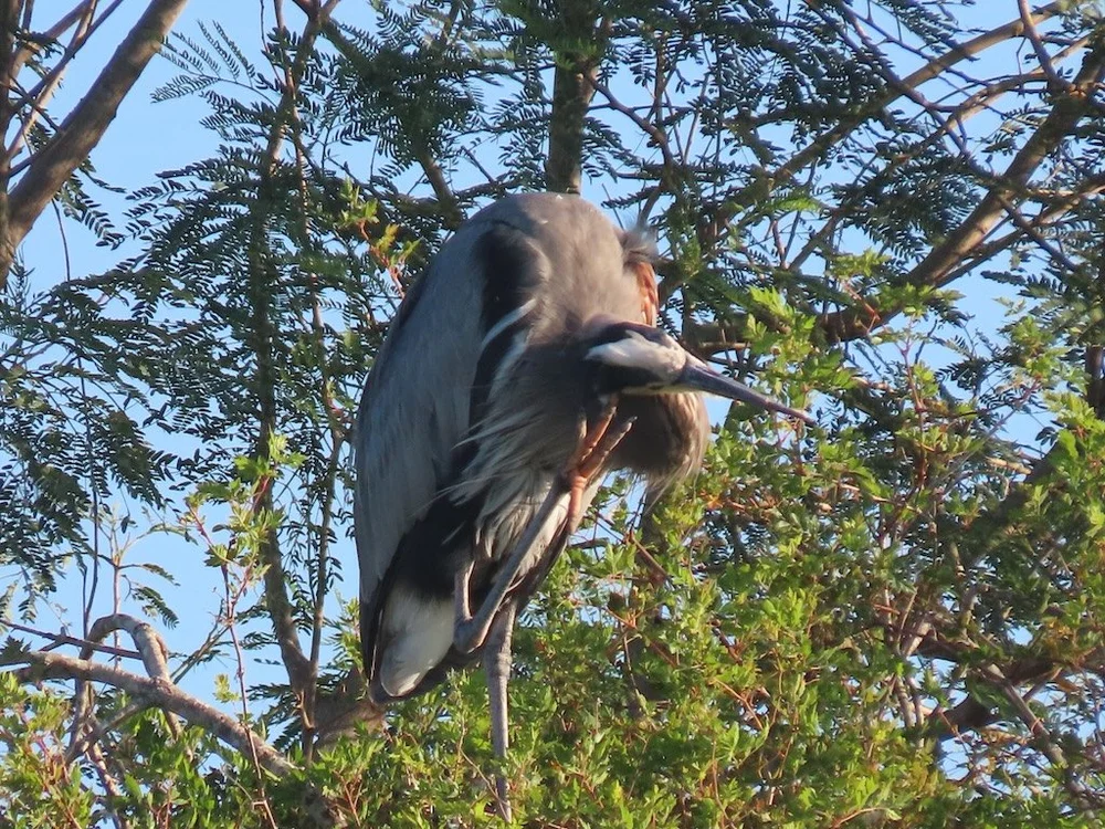 IMG_3140 2025 11.jPG