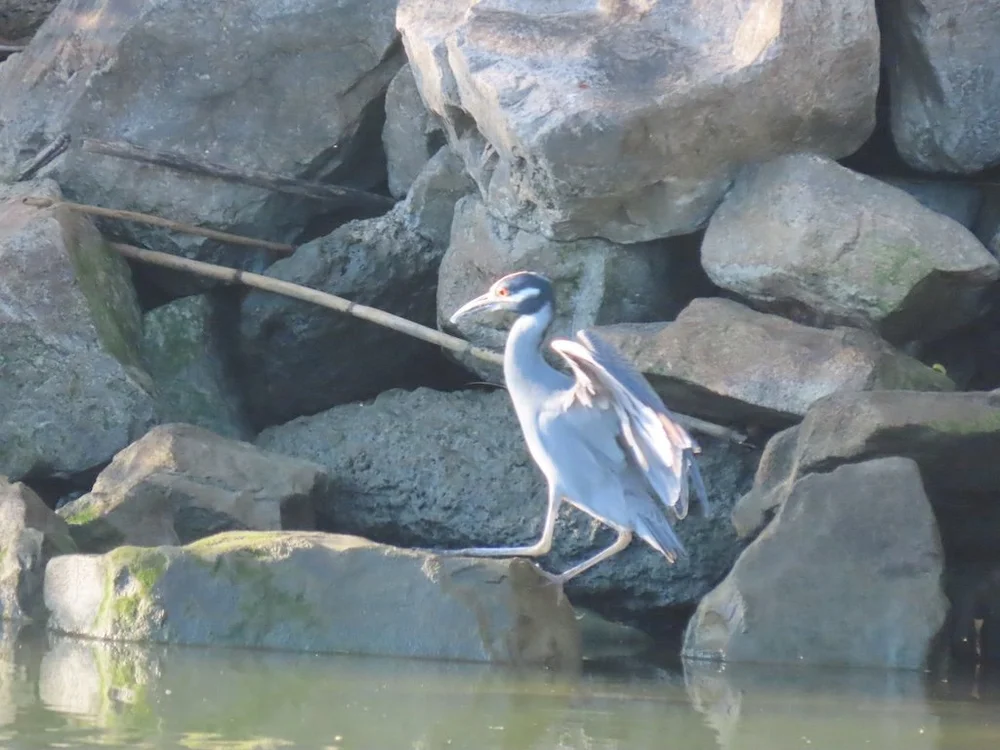 IMG_3171 2025 11.jPG