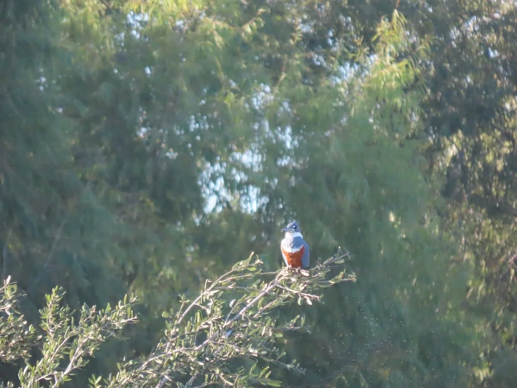 IMG_3198 2025 11.jPG