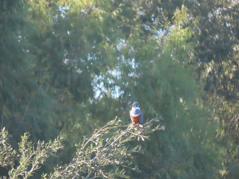 IMG_3198 2025 11.jPG