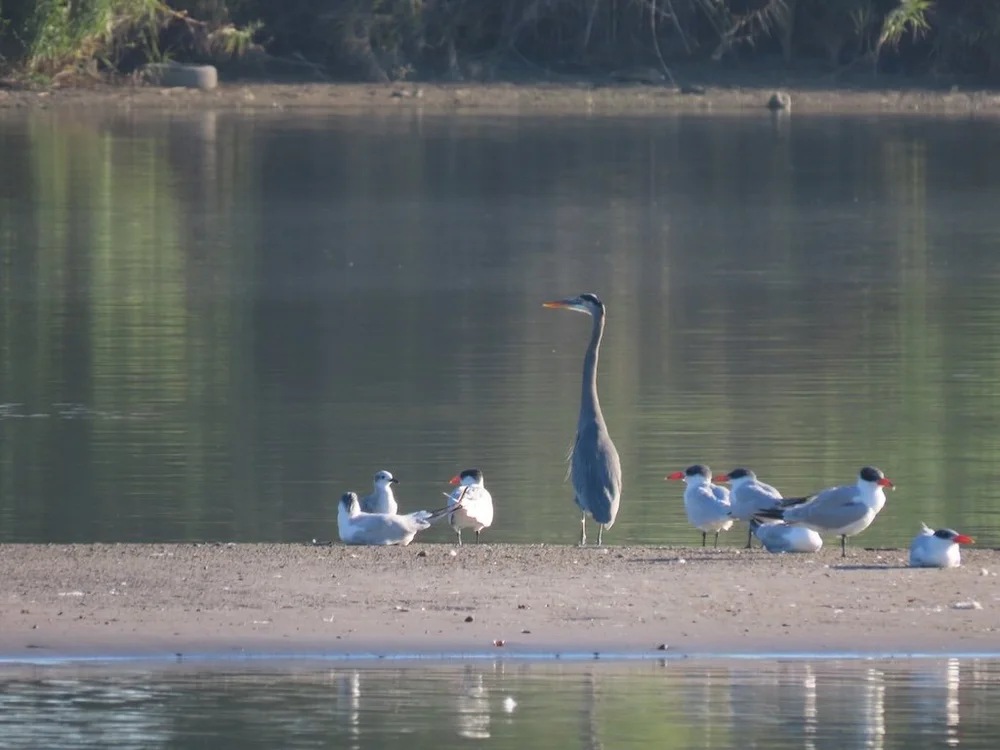 IMG_3258 2025 11.jPG