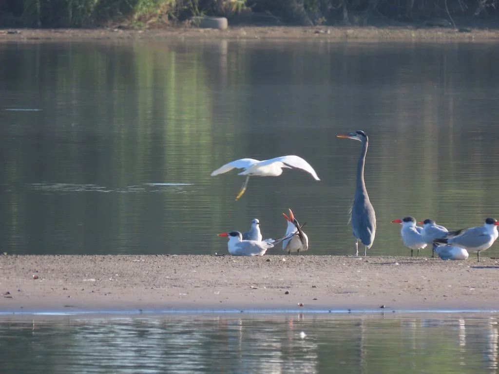 IMG_3261 2025 11.jPG