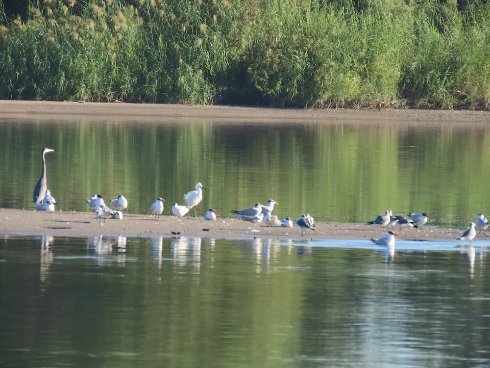 IMG_3272 2025 11.jPG