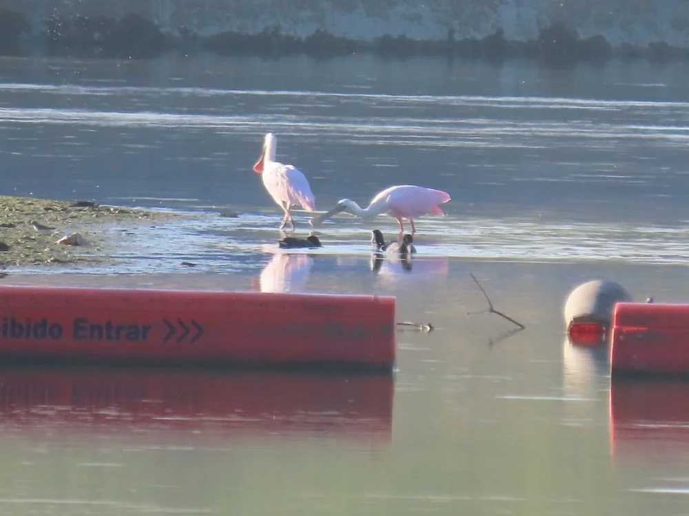 IMG_3299 2025 11.jPG