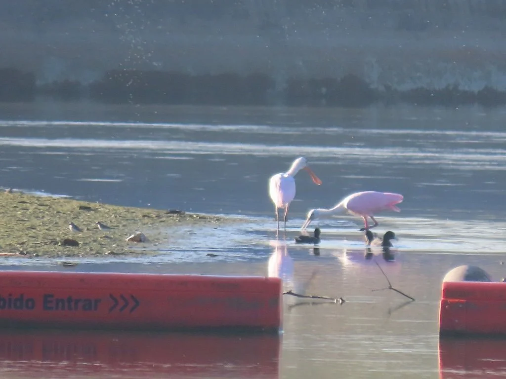 IMG_3305 2025 11.jPG