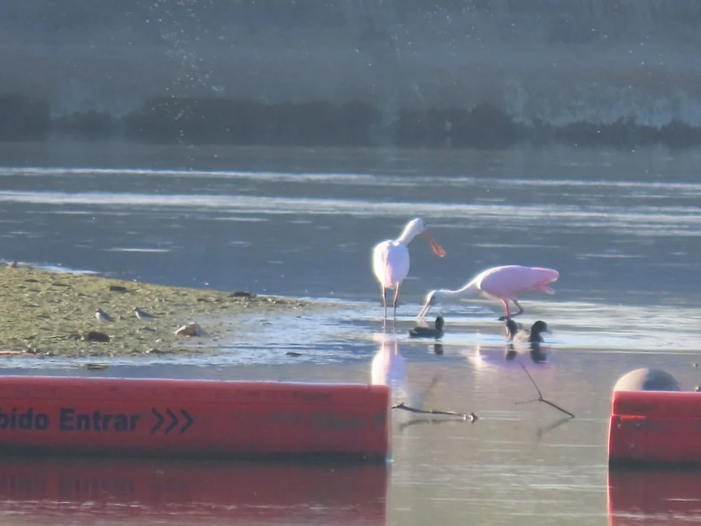 IMG_3305 2025 11.jPG