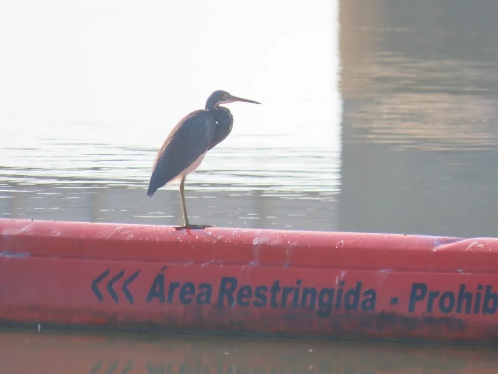 IMG_3332 2025 11.jPG