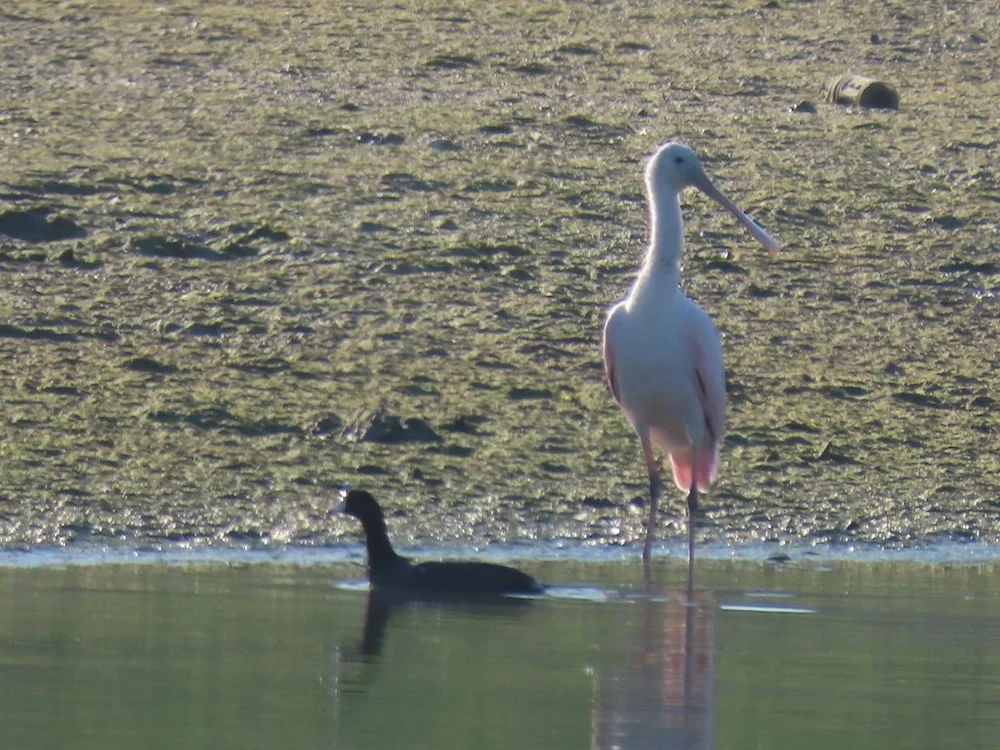 IMG_3345 2025 11.jPG