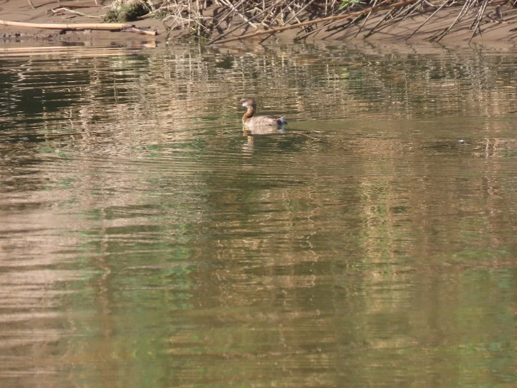 IMG_3412 2025 11.jPG