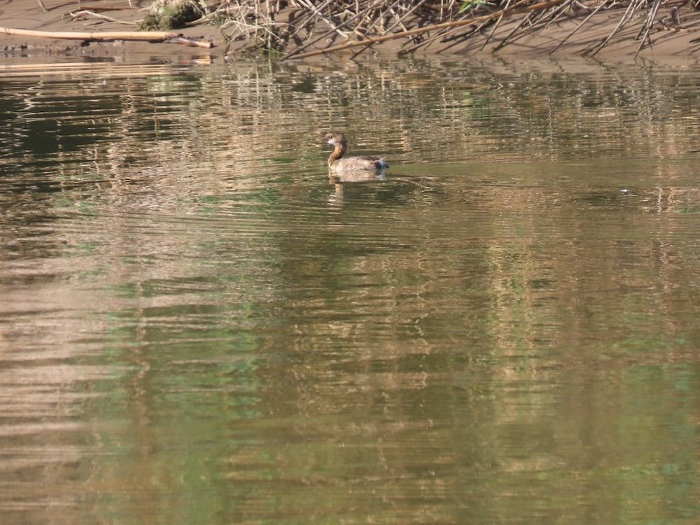 IMG_3412 2025 11.jPG